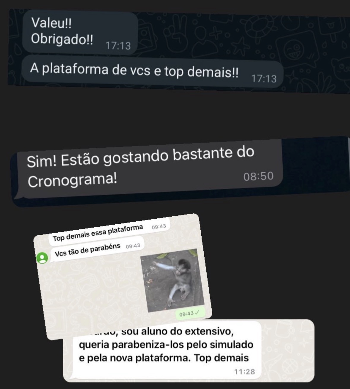 Mensagens de alunos elogiando a plataforma e o cronograma